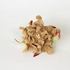 Гардения большая "Кофе с молоком", 7 см, 1 шт (Craft)