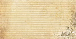 Отрез ткани 25х50 см "Волшебник. Дары магии. Полоски" (ScrapMania)