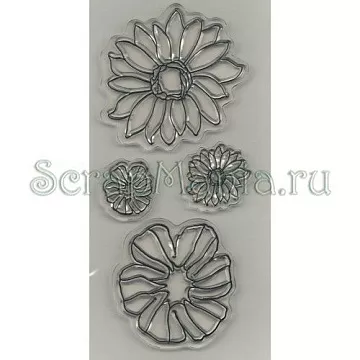 Набор штампов Scrappy Cat "Полевые цветы"