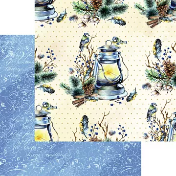 Бумага "Winter birds - 5" (SunnyCraft)