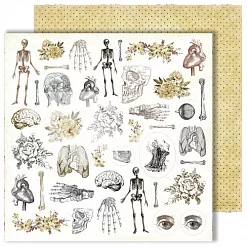 Набор бумаги 20х20 см "Homo sapiens", 12 листов (DreamLight Studio)