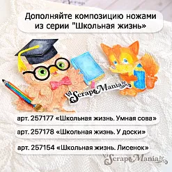 Нож "Школьная жизнь. Умная сова", 5,3х5,6 см (ScrapMania)