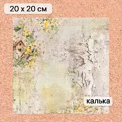 Калька 20х20 см "Сезон ромашек 07", плотность 110 гр/м2 (ScrapMania)