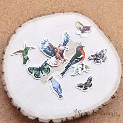 Набор высечек из бумаги "Заповедник", 43 шт (ScrapMania) Набор высечек из бумаги "Заповедник", 43 шт (ScrapMania)