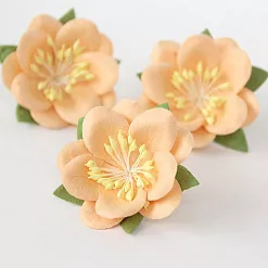 Цветок сакуры "Персиковый" (Craft)