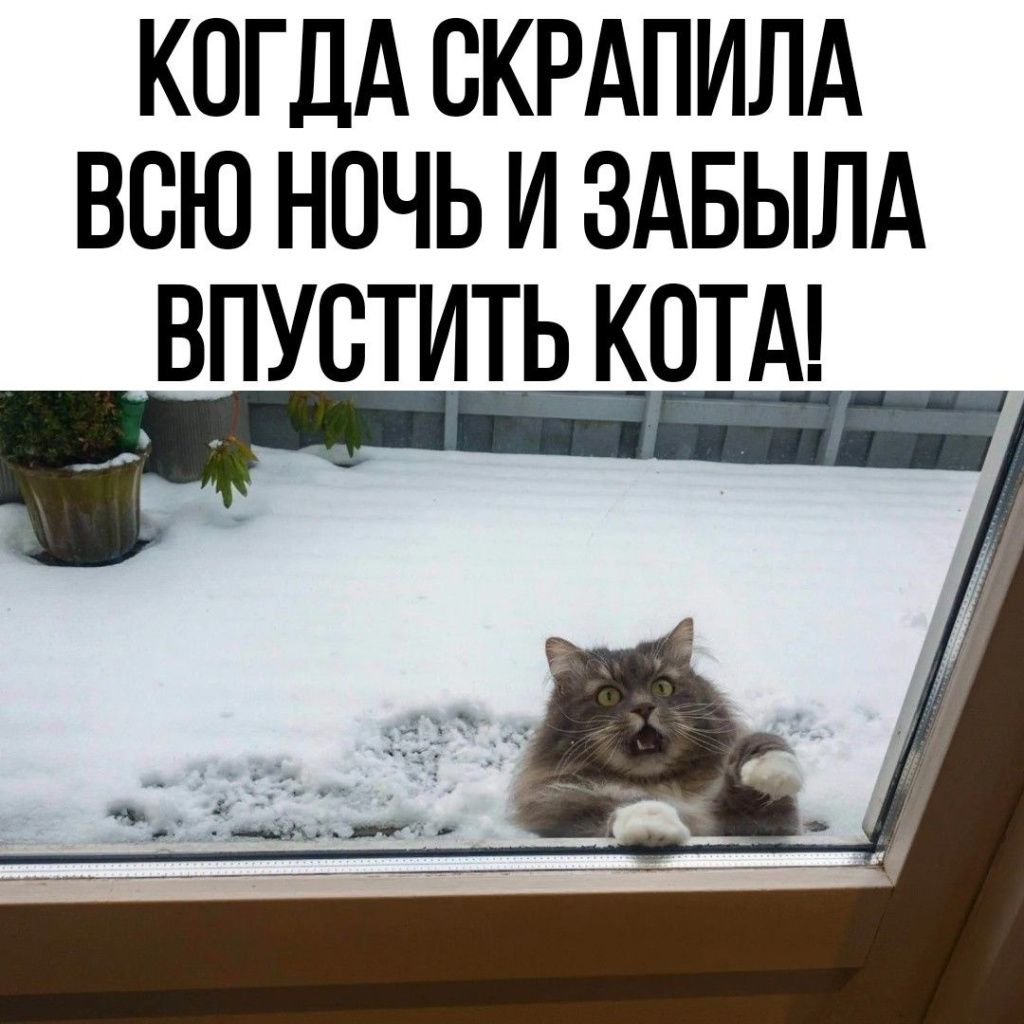 QOAlZF1IC0g.jpg