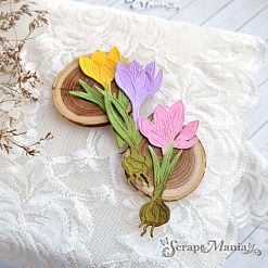 Нож "Первоцветы. Крокусы", 4х7,7 см (ScrapMania)