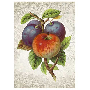 Тканевая карточка "Фруктовый сад. Сливово-яблочное чудо" (ScrapMania)