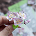 Нож "Цветы сливы", 4,9х4,9 см (AgiArt)