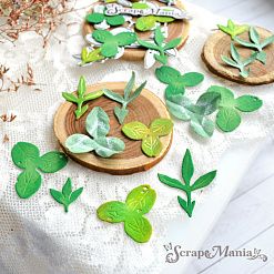 Нож "Клевер луговой. Листья", 2,5х3,3 см (ScrapMania)