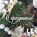 Чипборд "С праздником", 6 см (LeoMammy)
