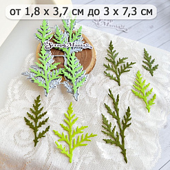 Нож "Веточки туи 2", 3,8х5,6 см (ScrapMania)