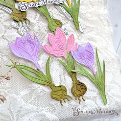 Нож "Первоцветы. Крокусы", 4х7,7 см (ScrapMania)