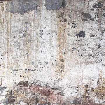 Бумага "Basecoat IV. Backyard fence" (Kaiser)