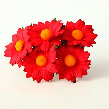 Букет средних ромашек "Красный", 5 шт (Craft)