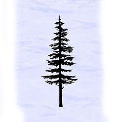 Штамп "Дерево Елка. Большая", 3х7,5 см (Креатив)